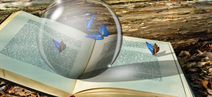 podcast newsletter magazine ecommerce