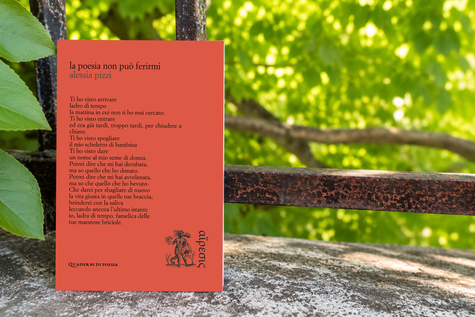 la poesia non può ferirmi libro di alessia pizzi